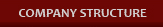 Company Structure